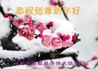 Published on 2/13/2013 ֹ,½󷨵ӹףʦ֣31
