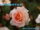 Published on 2/13/2013 ֹ,½󷨵ӹףʦ֣34
