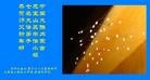 Published on 2/13/2013 ֹ,½󷨵ӹףʦ֣50
