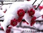 ֹ,½󷨵ӹףʦã45
