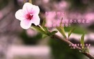 Published on 2/10/2013 ֹ,ϵͳ󷨵ӹףʦ֣23

