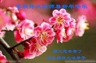 Published on 2/8/2013 ֹ,ȷ󷨵ӹףʦã24

