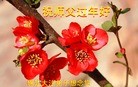 Published on 2/12/2013 ֹ,󷨵ӹףʦ֣19
