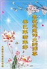 ֹ,󷨵ӹףʦ֣17
