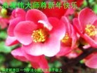 Published on 2/10/2013 ֹ,󷨵ӹףʦ֣20

