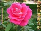 Published on 2/10/2013 ֹ,󷨵ӹףʦ֣20

