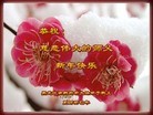 Published on 2/10/2013 ֹ,½󷨵ӹףʦ֣38
