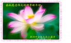 Published on 2/10/2013 ֹ,½󷨵ӹףʦ֣32
