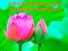 Published on 2/9/2013 ֹ,󷨵ӹףʦã24
