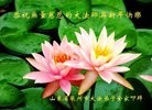 Published on 2/10/2013 ֹ,½󷨵ӹףʦ֣23
