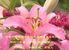 Published on 2/10/2013 ֹ,½󷨵ӹףʦã32
