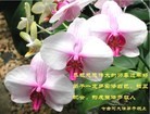 Published on 2/10/2013 ֹ,½󷨵ӹףʦã32
