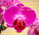 Published on 2/10/2013 ֹ,½󷨵ӹףʦã32
