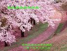Published on 2/11/2013 ֹ,ʡ󷨵ӹףʦ֣24
