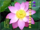 Published on 2/10/2013 ֹ,ӱ󷨵ӹףʦã25
