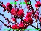 Published on 2/9/2013 ֹ,ʺ־ʦ19
