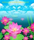 Published on 2/10/2013 ֹ,½󷨵ӹףʦ֣32
