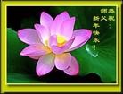 Published on 2/9/2013 ֹ,ǷѺĴ󷨵ӹףʦ֣18
