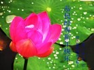 Published on 2/10/2013 ֹ,½󷨵ӹףʦ֣32
