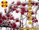 Published on 2/10/2013 ֹ,󷨵ӹףʦ֣19
