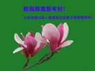 Published on 2/9/2013 ֹ,󷨵ӹףʦ֣24
