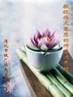 Published on 2/13/2013 ֹ,ҵ󷨵ӹףʦã46
