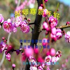 Published on 2/11/2013 ֹ,ʡ󷨵ӹףʦ֣24
