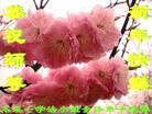 Published on 2/8/2013 ֹ,Ϫ󷨵ӹףʦ֣10

