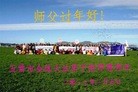 ֹ,󷨵ӹףʦ֣34
