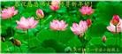 Published on 2/10/2013 ֹ,󷨵ӹףʦ֣21

