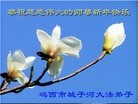 Published on 2/10/2013 ֹ,󷨵ӹףʦã19
