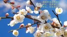 Published on 2/13/2013 ֹ,ʡ󷨵ӹףʦã41
