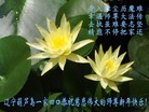 Published on 2/10/2013 ֹ,«󷨵ӹףʦã21
