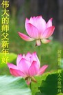 Published on 2/10/2013 ֹ,żҿڴ󷨵ӹףʦã22
