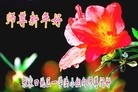 Published on 2/10/2013 ֹ,żҿڴ󷨵ӹףʦã22
