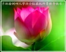 Published on 2/10/2013 ֹ,½󷨵ӹףʦã19
