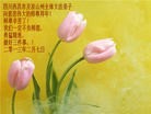 Published on 2/10/2013 ֹ,½󷨵ӹףʦã19

