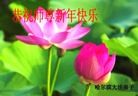 Published on 2/11/2013 ֹ,½󷨵ӹףʦã14
