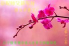 Published on 2/10/2013 ֹ,½󷨵ӹףʦã19

