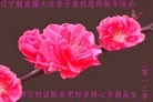 Published on 2/10/2013 ֹ,½󷨵ӹףʦã19
