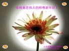 Published on 2/10/2013 ֹ,ʴ󷨵ӹףʦã27

