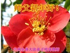 ֹ,󷨵ӹףʦã40
