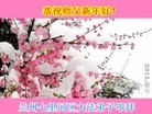 ֹ,󷨵ӹףʦã40
