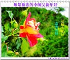 ֹ,󷨵ӹףʦã19

