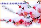 Published on 2/11/2013 ֹ,½󷨵ӹףʦã14
