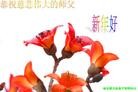Published on 2/12/2013 ֹ,½󷨵ӹףʦã34
