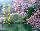 Published on 2/10/2013 ֹ,½󷨵ӹףʦ֣32
