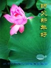 Published on 2/12/2013 ֹ,żҿڴ󷨵ӹףʦã27
