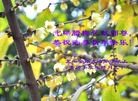 Published on 2/11/2013 ֹ,½󷨵ӹףʦã16
