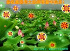 ֹ,人󷨵ӹףʦã31
